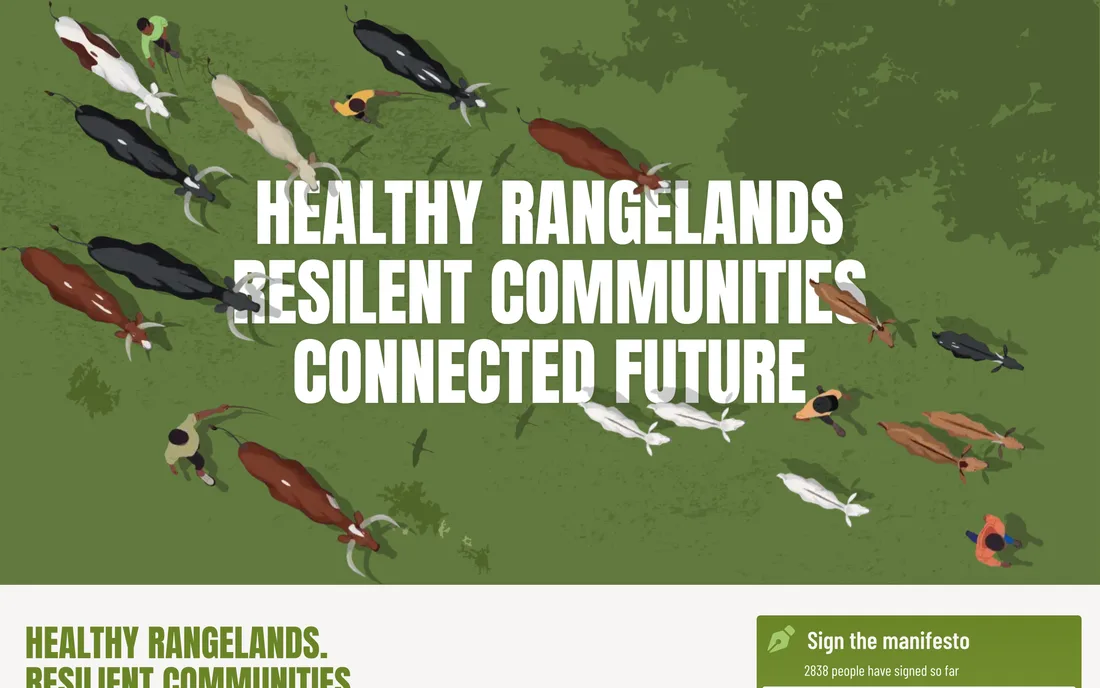 Anteprima del sito campaign.vsf-international.org